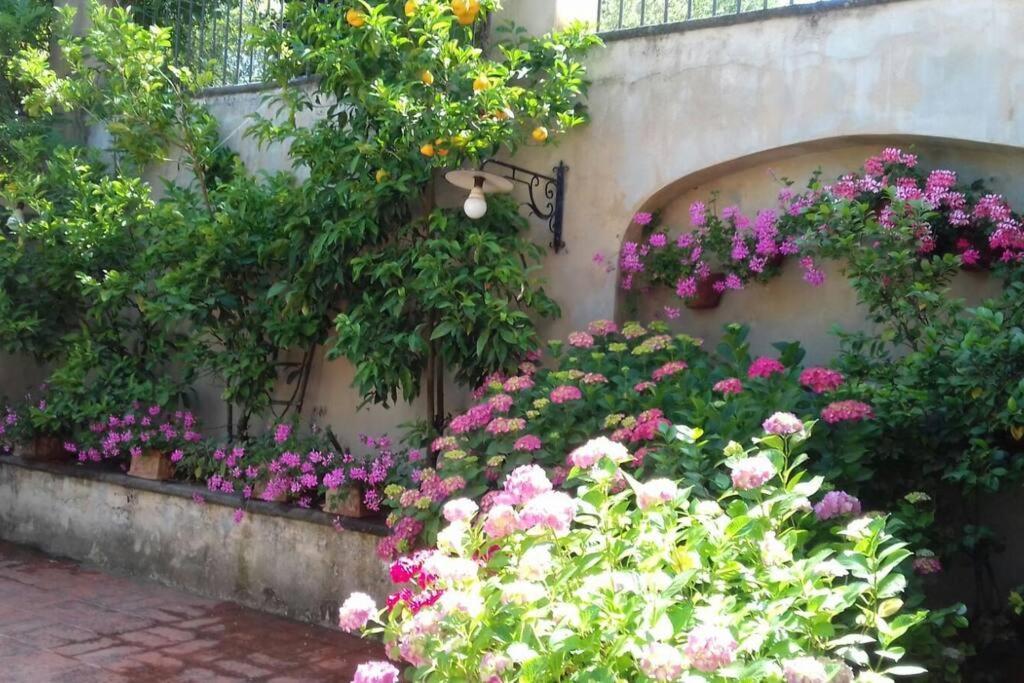 Apartment In Luxuryproperty Privatepool Garden Bbq Airc X8 Castelnuovo Di Porto Exterior photo