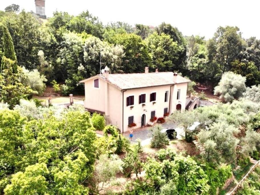 Apartment In Luxuryproperty Privatepool Garden Bbq Airc X8 Castelnuovo Di Porto Exterior photo